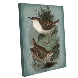 310x310 Two Bird Canvas Wall Art Wayfair - Two Birds Painting