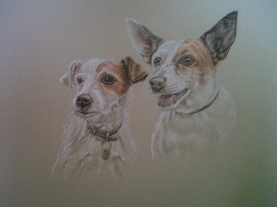 550x411 Dogs Portrait Painting By Pet Portrait Artist - Two Dogs Painting