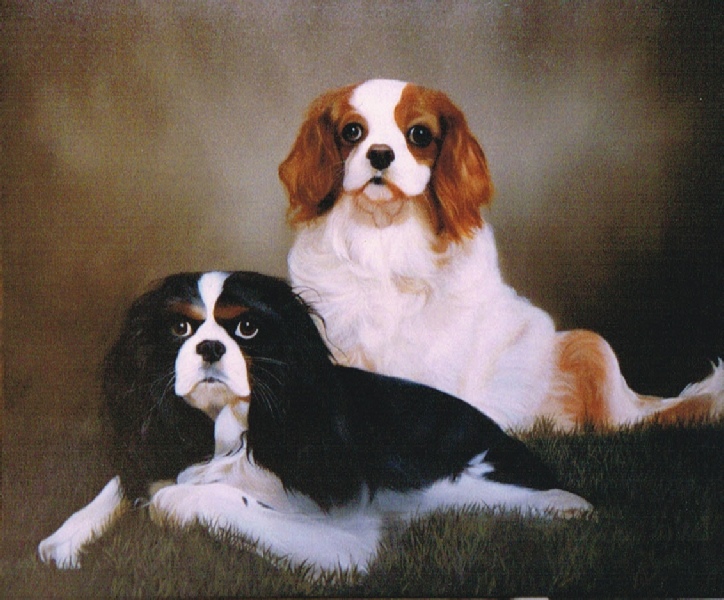 724x600 Pet Portraits By Stephen Bishop Artist. - Two Dogs Painting