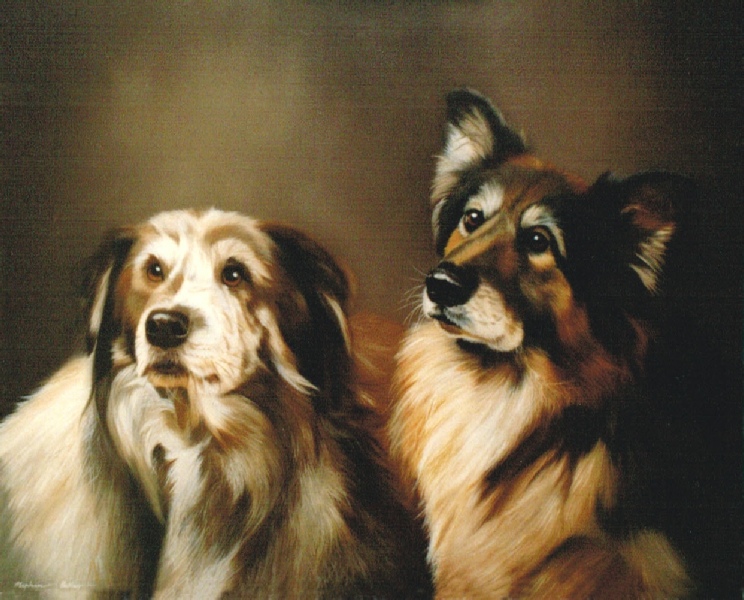 744x600 Pet Portraits By Stephen Home Page. - Two Dogs Painting