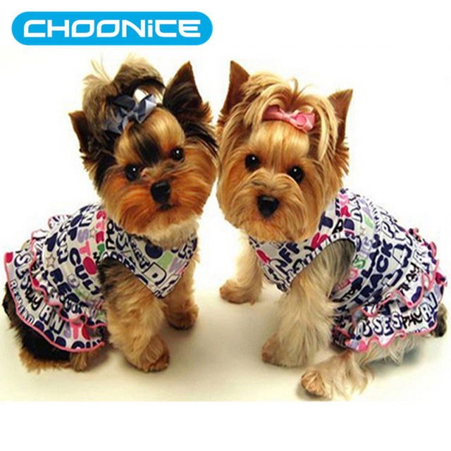 640x640 Diamond Painting Rhinestones Pokemon Flower Pattern Clothes Two - Two Dogs Painting