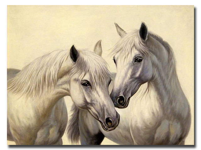 640x480 5d Diy Diamond Painting Two Horses Crystal Rhinestone Painting - Two Horses Painting