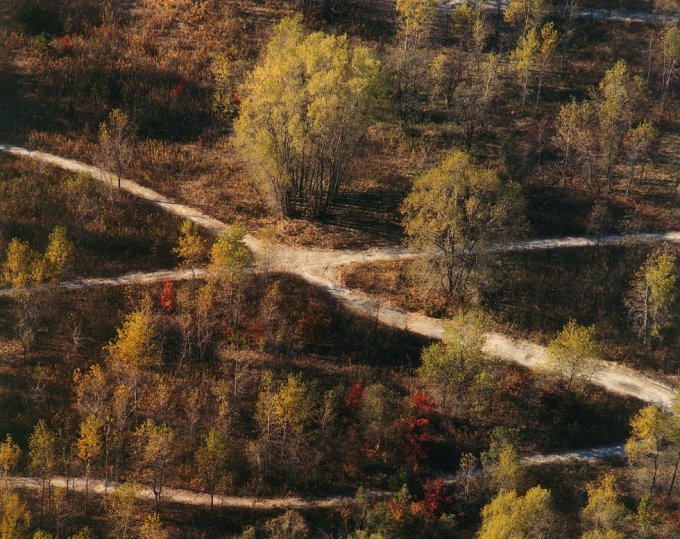 680x539 Owen Kanzler, Two Roads Diverged In A Yellow Wood - Two Roads Diverged In A Yellow Wood Painting