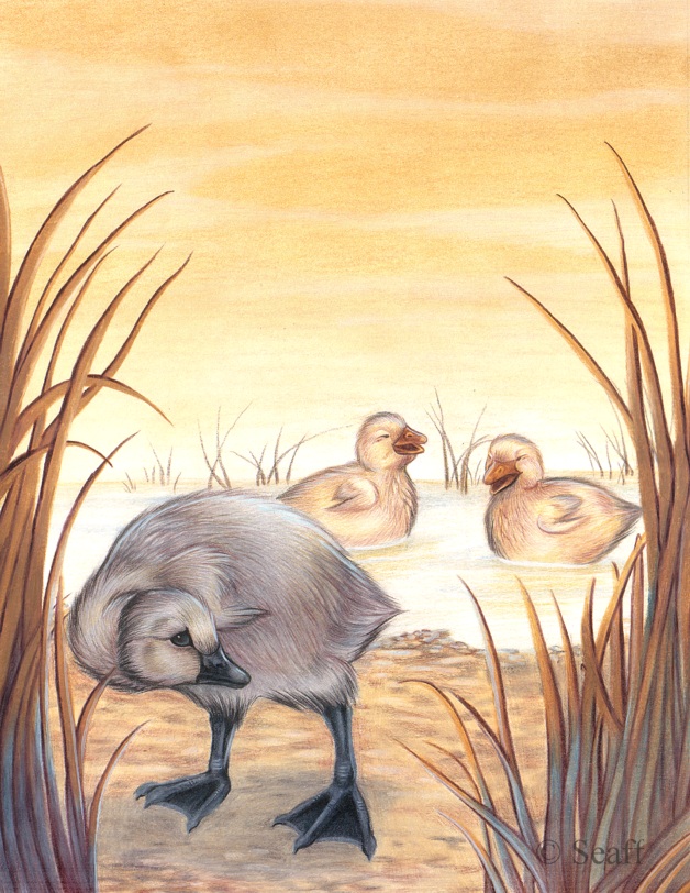 628x812 The Ugly Duckling By Seaff - Ugly Duckling Painting