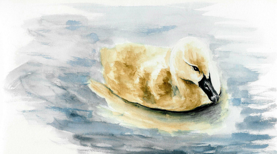 540x300 The Ugly Duckling Workshop - Ugly Duckling Painting