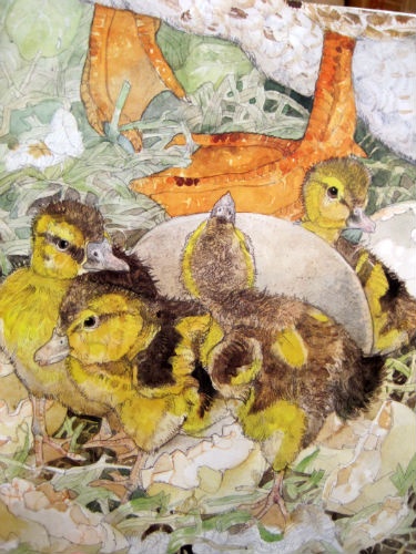 375x500 The Ugly Duckling Kinder Books - Ugly Duckling Painting