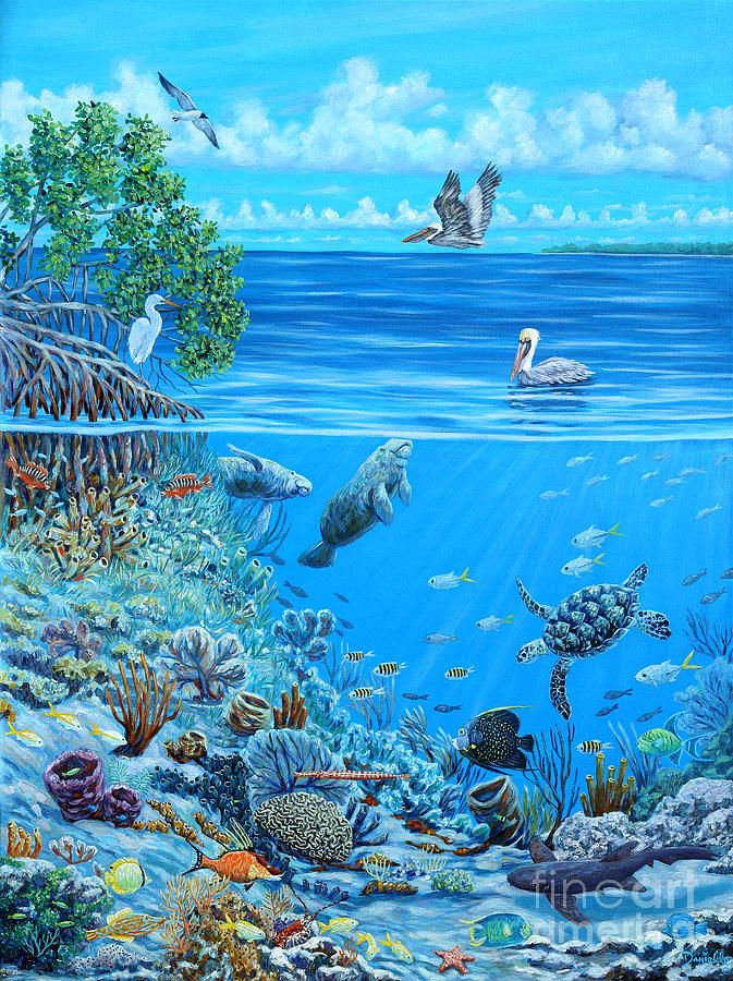 673x900 The Sea Is Calling By Danielle Perry ~ Under The Sea Art Under - Under The Ocean Painting