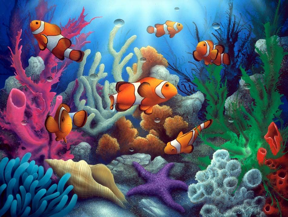 950x714 The Clowns An Under The Sea Clown Fish Painting By Artist David - Under The Sea Painting