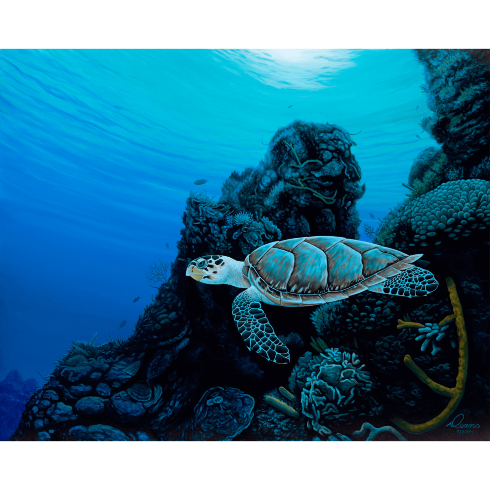 1000x1000 Paintings Canvas Prints Deano Cook - Underwater Canvas Painting