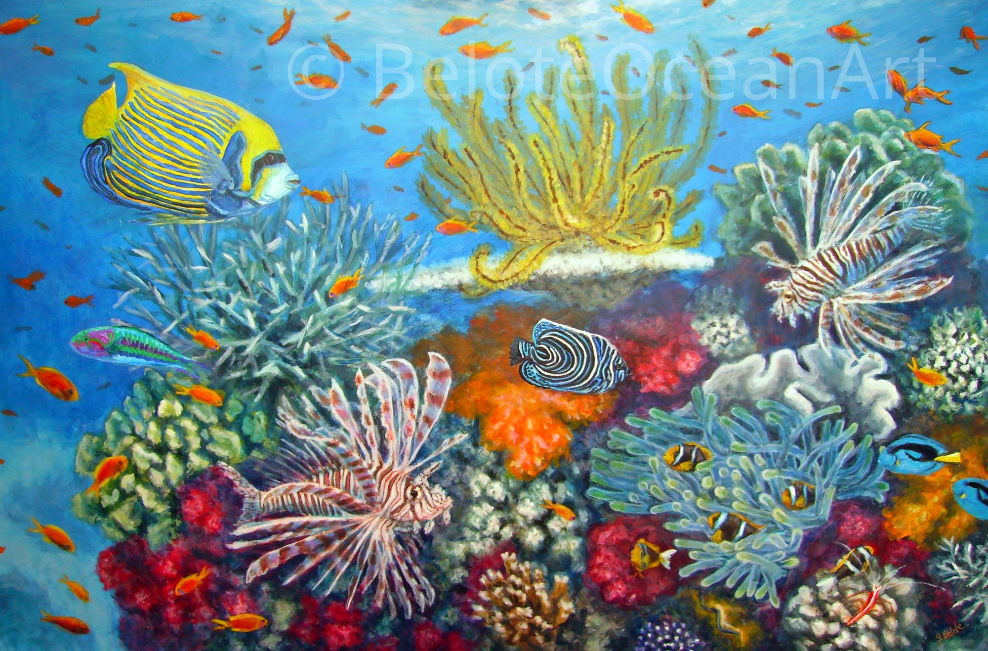Sea Coral Art At Jorge Dotson Blog Sea Coral Art At Jorge Dotson Blog
