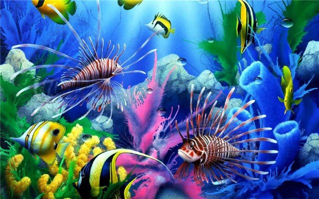 Underwater Coral Painting at PaintingValley.com | Explore collection of ...