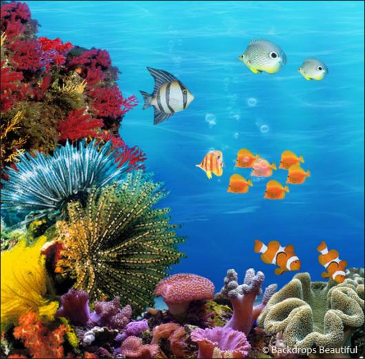 Coral Reef Underwater Painting Easy Painting Inspired