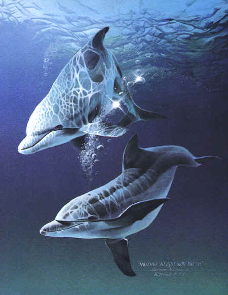 450x582 Oil Paintings,original Oil Paintings For Sale, Wildlife, Christian - Underwater Oil Painting