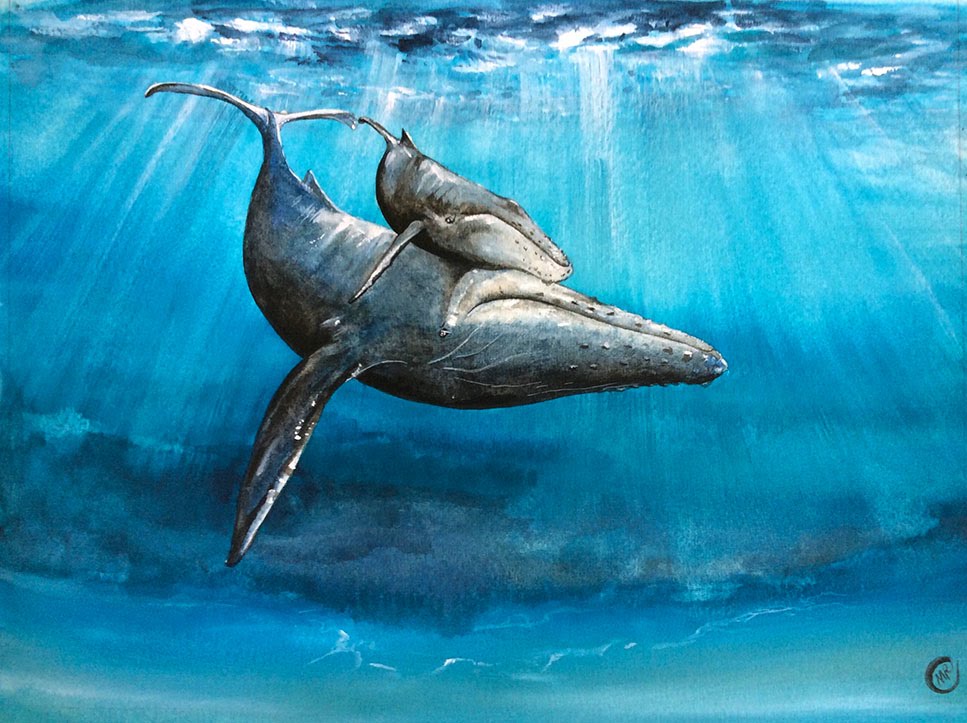 967x723 Watercolor Underwater Whale Painting Demonstration - Underwater Painting