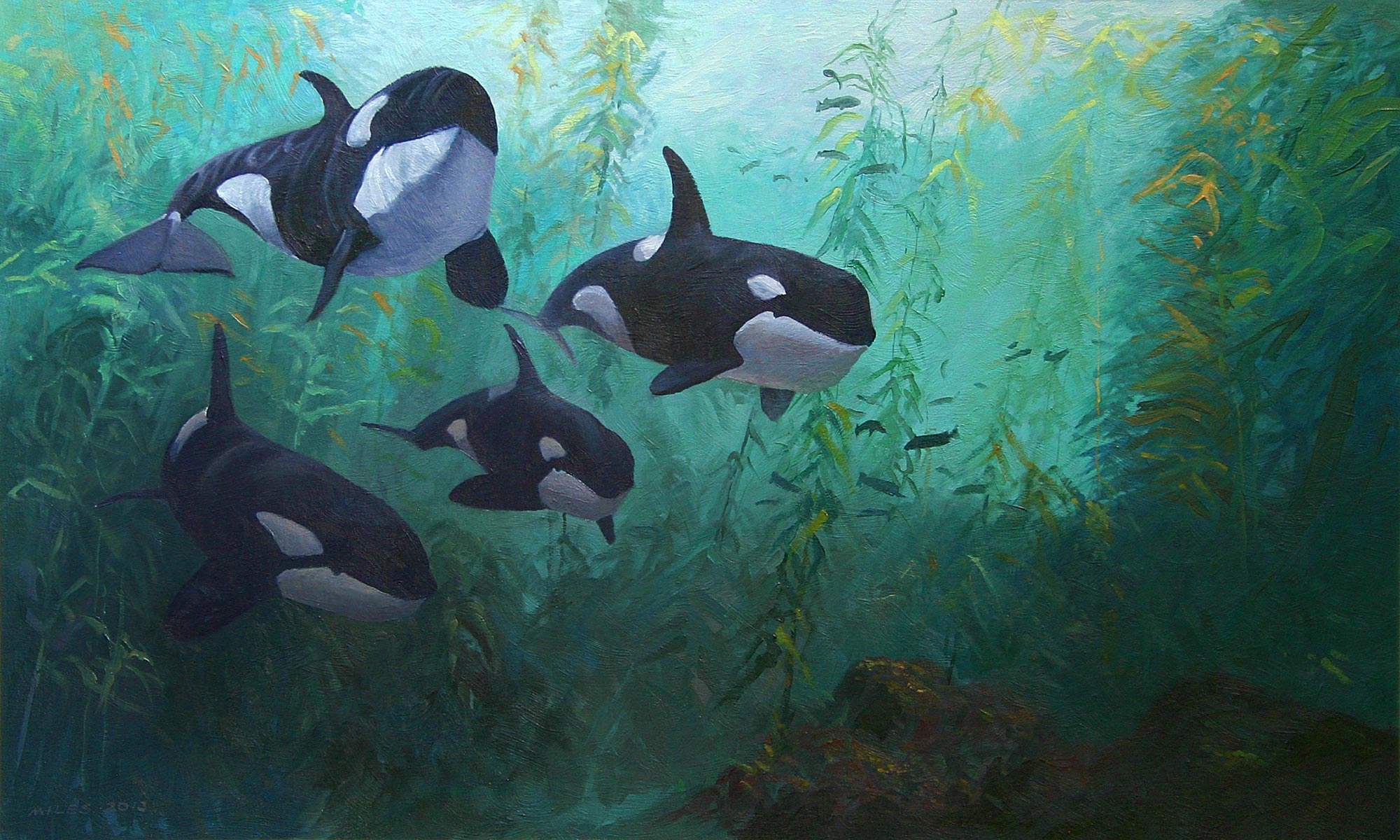 2000x1200 Cruising The Kelp Forest - Underwater Painting