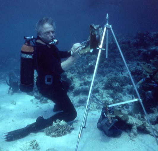 532x509 Gurney Journey Painting Underwater - Underwater Painting