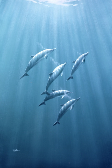 428x640 Marine Painting. Fill Your Underwater Paintings With Life And Sparkle. - Underwater Painting