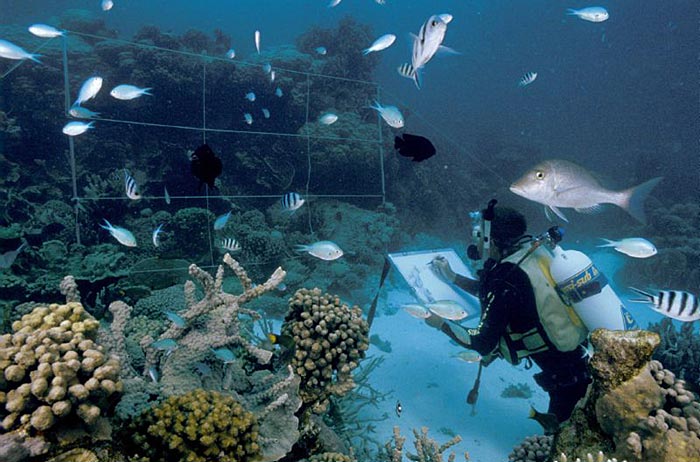 700x462 Roger Swainston, Underwater Art - Underwater Painting Artist