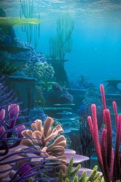 236x354 52 Best Underwater Painting Images On Underwater - Underwater Painting Watercolor