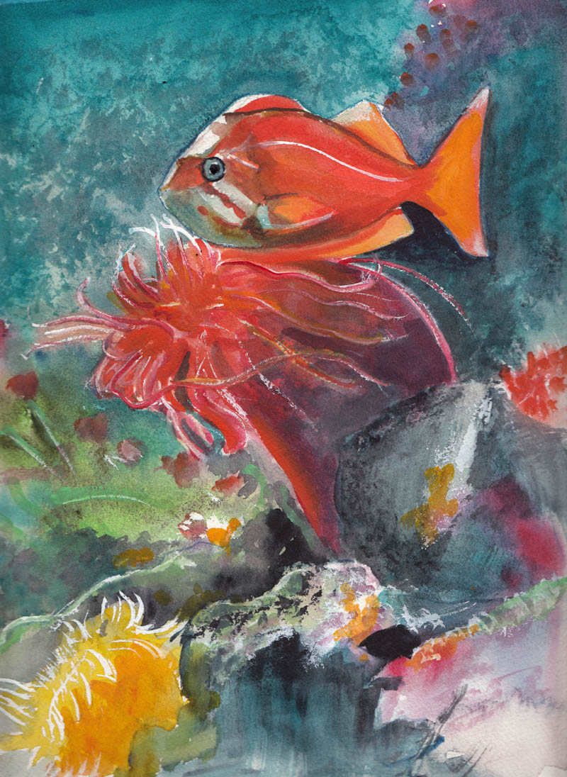 800x1096 Bunny's Artwork Orange Fish Underwater Scene Original Watercolor - Underwater Watercolor Painting