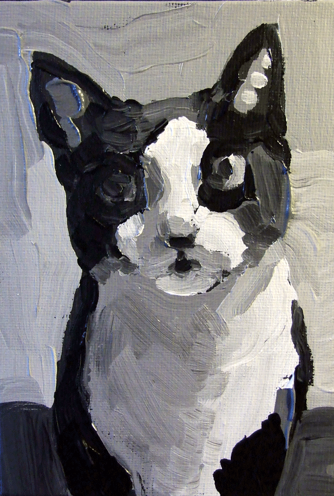 655x971 Paintings From The Parlor Black And White Cat Value Study Paintings - Value Painting