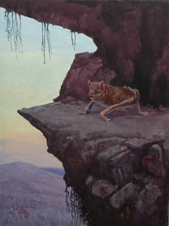 336x448 Dwayne Harty - Vampire Bat Painting