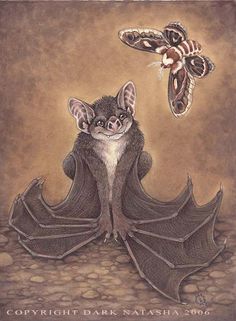 236x321 Imgs For Gt Vampire Bats Drawings Animals Art Amp Photos - Vampire Bat Painting
