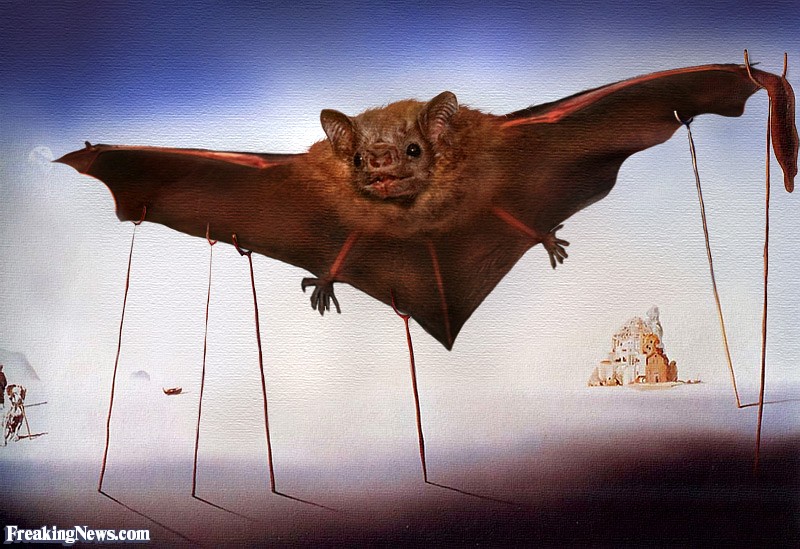 800x549 Salvador Dali Bat Painting Pictures - Vampire Bat Painting