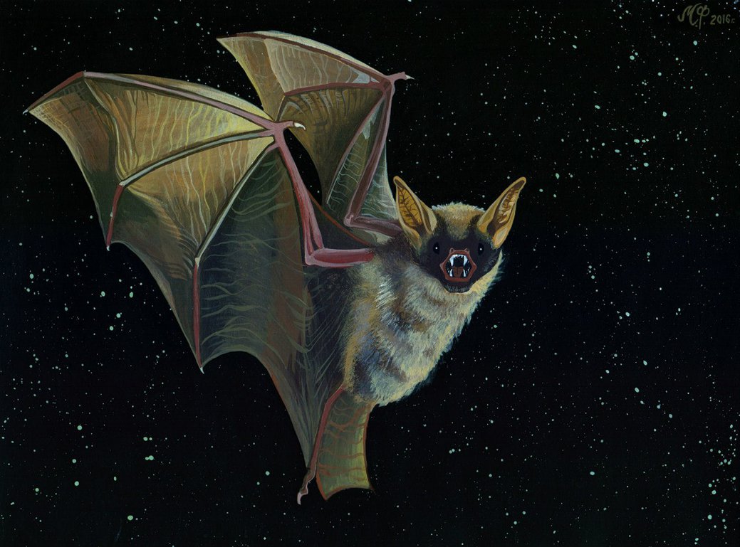 1039x769 Bat - Vampire Bat Painting