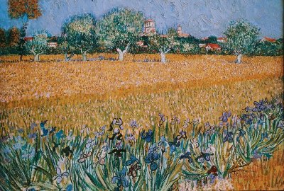 Van Gogh Field Painting
