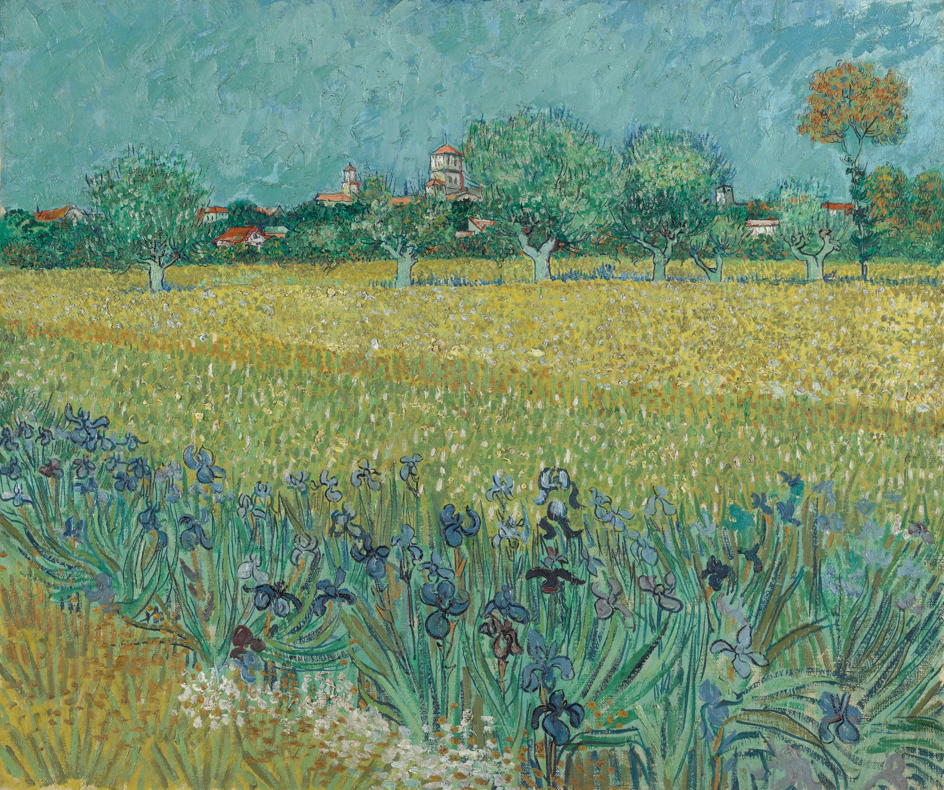 1920x1608 Field With Irises Near Arles - Van Gogh Field Painting