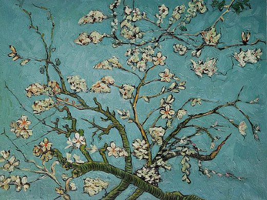 520x390 Vincent Van Gogh Branches Of An Almond Tree In Blossom Painting - Van Gogh Painting Almond Blossoms