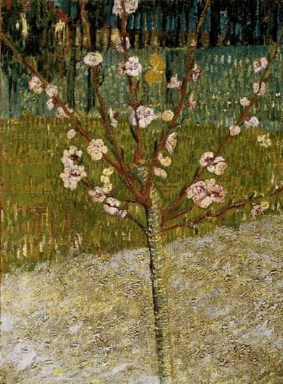 400x543 Almond Tree In Blossom By Vincent Van Gogh Howstuffworks - Van Gogh Painting Almond Blossoms