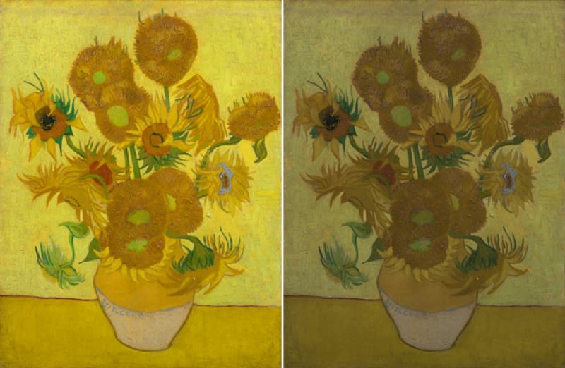 800x522 Scientists Think They'Ve Figured Out Why Van Gogh's Sunflowers Are - Van Gogh Sunflower Painting