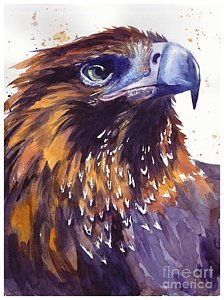 224x300 Hawk Wing Paintings Fine Art America - Van Hawk Painting