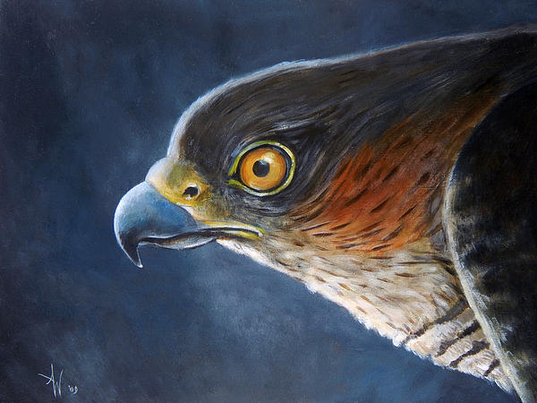 600x450 Hawk Eye Painting By Arie Van Der Wijst - Van Hawk Painting