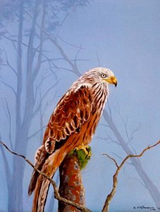 227x300 Kite Hawk Paintings Fine Art America - Van Hawk Painting
