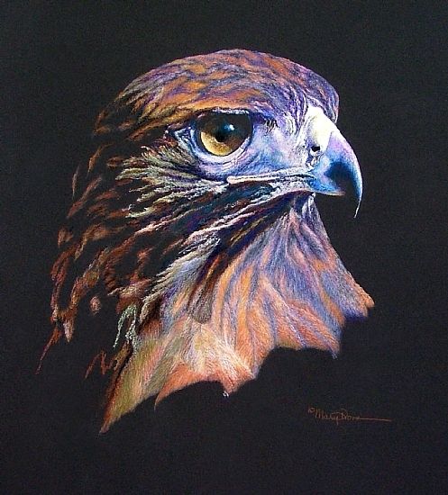 497x550 Magistic Raptor, Red Tailed Hawk By Mary Dove Oil Pastel Painting - Van Hawk Painting