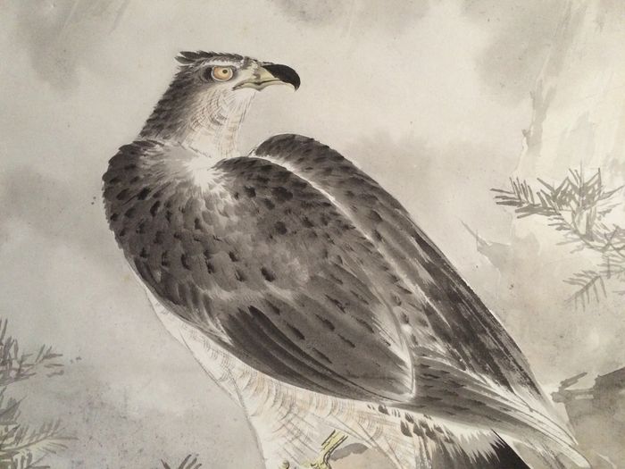 700x525 Scroll Painting Of A Hawk - Van Hawk Painting