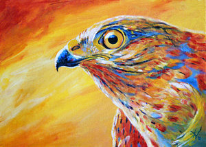 300x214 Sparrow Hawk Art Fine Art America - Van Hawk Painting