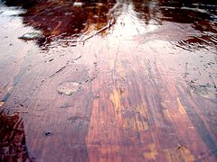 240x180 Spaces Between The Gaps Varnishing Oil Paintings - Varnish Painting