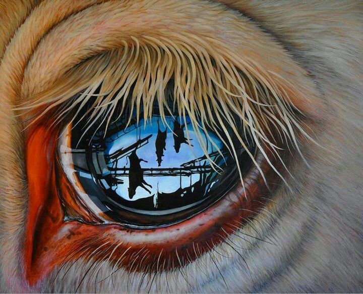 720x582 Jackson Thilenious .painting So Sad What The Cow See'S - Vegan Painting