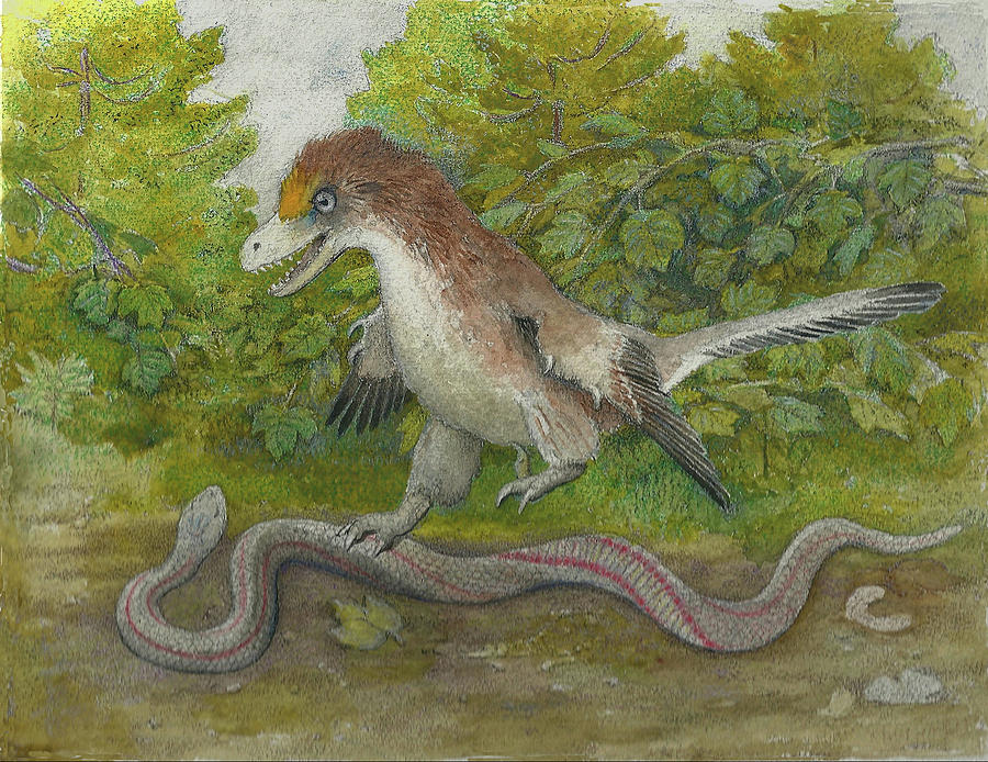 900x694 Velociraptor And Snake Painting By Richard Crist - Velociraptor Painting