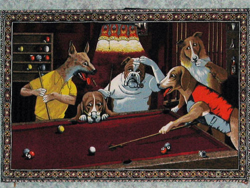 500x375 Hawkeyes - Velvet Dog Painting