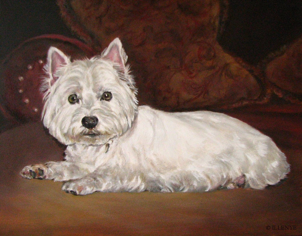 1000x780 Westie Custom Dog Portrait Oil Painting Pets Lacy Nestled - Velvet Dog Painting