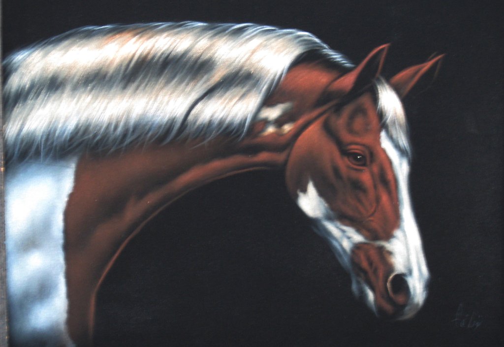 1024x705 Horse, Stallion Horse Portrait, Original Oil Painting On Black - Velvet Horse Painting