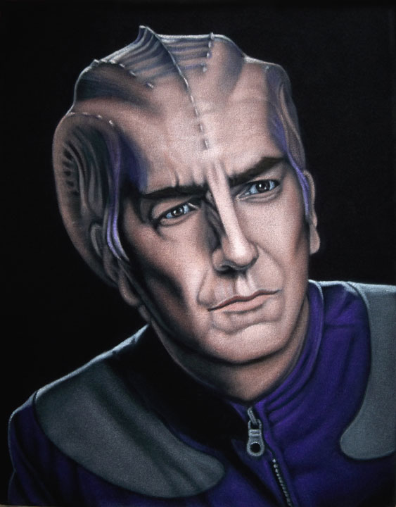 563x720 Portfolio - Velvet Painting