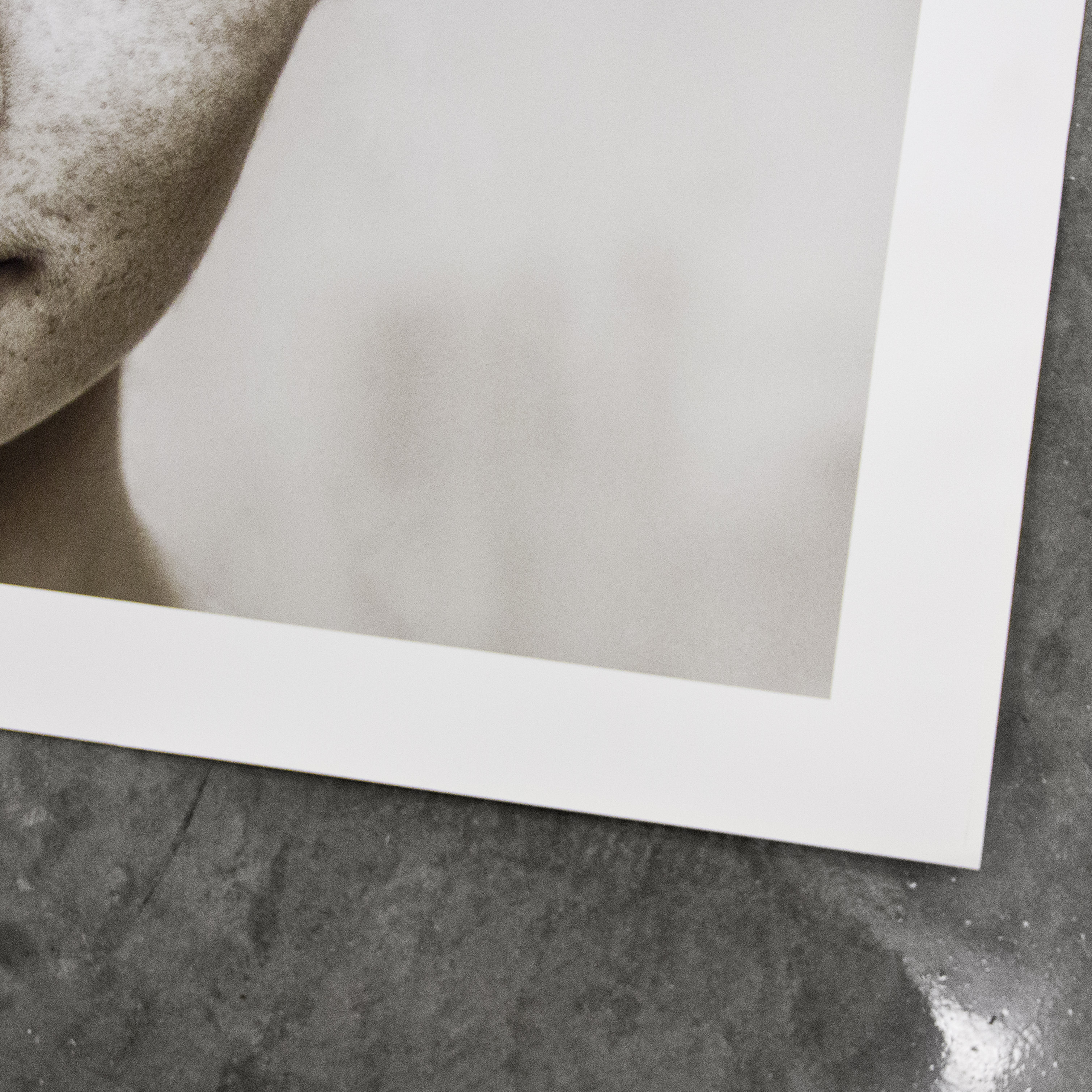 3018x3018 Elegance Velvet - Velvet Painting Artists