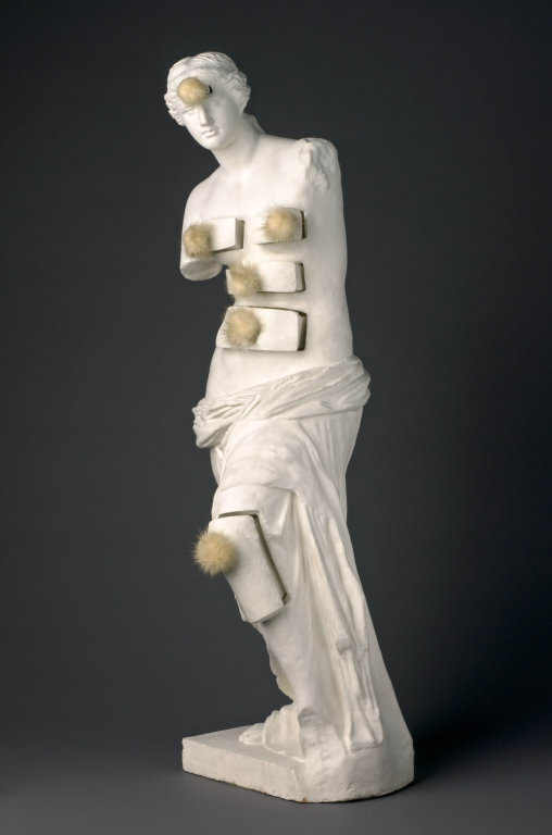 508x768 Venus De Milo With Drawers, 1936 By Salvador Dali - Venus De Milo Painting