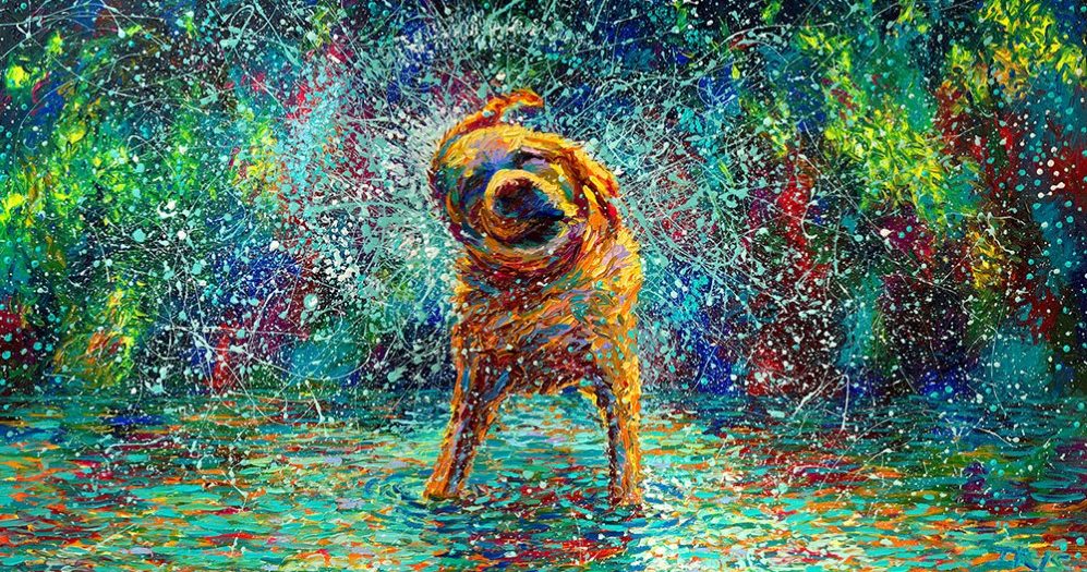 997x525 Artist Creates Moving And Vibrant Paintings By Using Finger - Vibrant Painting